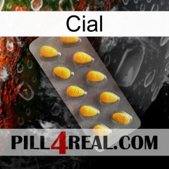 Cial cialis1